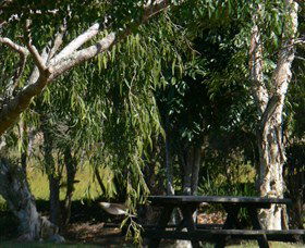 Casino NSW ACT Tourism