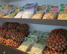 Medowie Macadamias - ACT Tourism 2