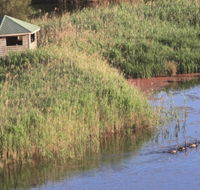 Spring Creek Bird Hide - ACT Tourism