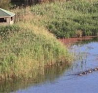 Spring Creek Wetlands Walk - ACT Tourism