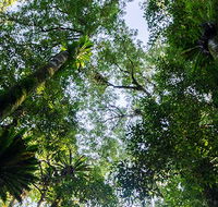 Botanic walk - ACT Tourism