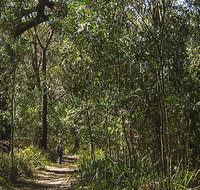 Sand track walk south - ACT Tourism