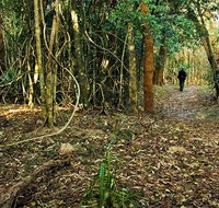 Sand track walk north - ACT Tourism
