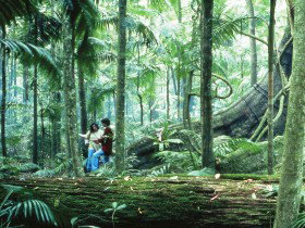 Illinbah Circuit - ACT Tourism 0