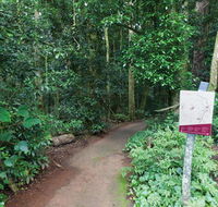 Walk with the Birds boardwalk - ACT Tourism