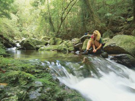 Dave's Creek Circuit - ACT Tourism 0