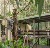 Daisy Hill Koala Centre - ACT Tourism