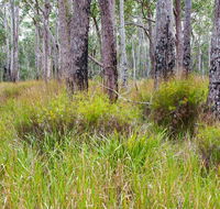 Narrawallee Inlet walking track - ACT Tourism