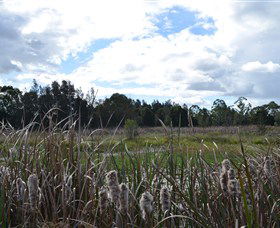 Jabiru Geenbeebeinga Wetlands - ACT Tourism 1