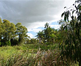 Jabiru Geenbeebeinga Wetlands - ACT Tourism 2