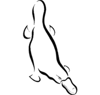 Platypus Gallery - ACT Tourism