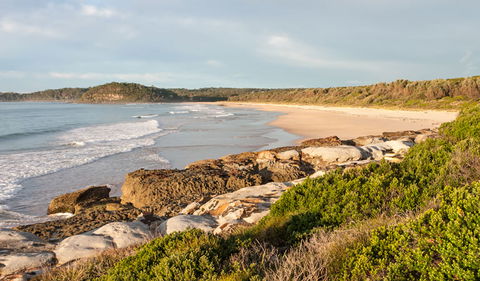 Burrawang Track - Conjola Beach To Buckleys Point - ACT Tourism 0