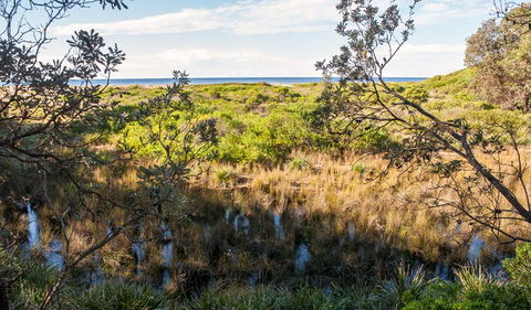 Burrawang Track - Conjola Beach To Buckleys Point - ACT Tourism 1