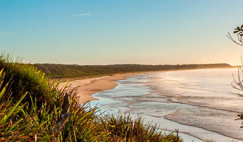 Burrawang Track - Conjola Beach To Buckleys Point - ACT Tourism 2