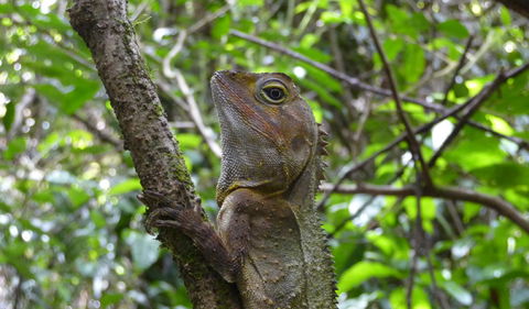 Boorganna Nature Reserve - ACT Tourism 3