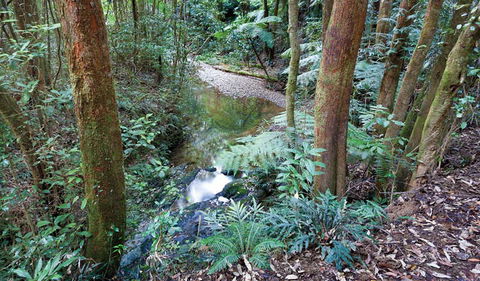 Blackbutt Walking Track - ACT Tourism 1