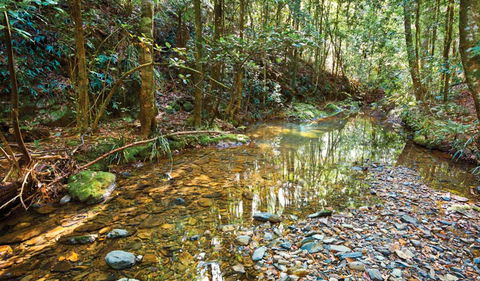 Blackbutt Walking Track - ACT Tourism 3