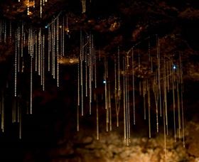 Tamborine Mountain Glow Worm Caves - ACT Tourism 0