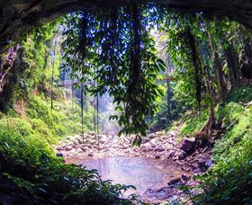 Dorrigo Rainforest Centre - ACT Tourism 1