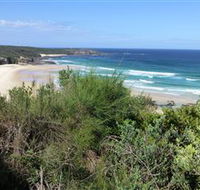 South Pacific Heathland Reserve - ACT Tourism
