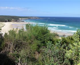 South Pacific Heathland Reserve - ACT Tourism 0