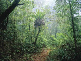 Wagawn - ACT Tourism 0