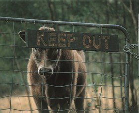 Old Nerrigundah Settlement Trail - ACT Tourism 1