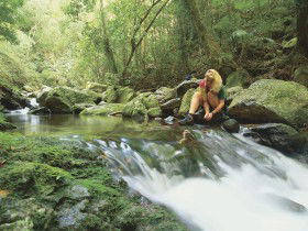 Lower Ballanjui Falls - ACT Tourism 0