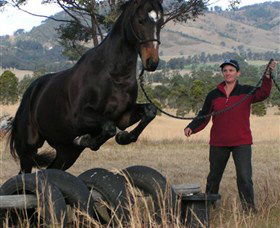Kings Creek Saddle Club - ACT Tourism 5