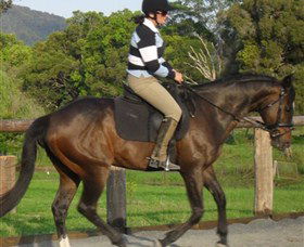 Kings Creek Saddle Club - ACT Tourism 6