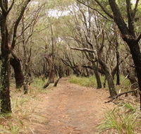 Pretty Beach to Snapper Point walking track - ACT Tourism