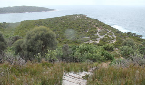 Pretty Beach To Snapper Point Walking Track - ACT Tourism 2