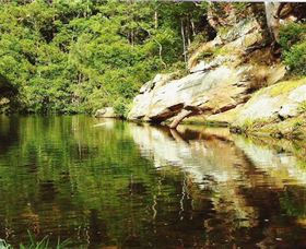 Numinbah Valley Adventure Trails - ACT Tourism 1