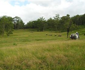 Numinbah Valley QLD ACT Tourism