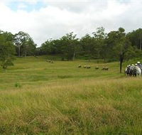Numinbah Valley Adventure Trails - ACT Tourism