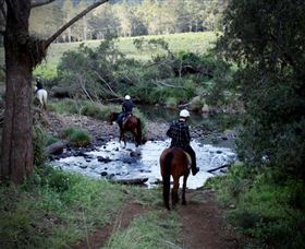 Numinbah Valley Adventure Trails - ACT Tourism 3