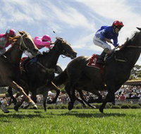 Moruya Racecourse - ACT Tourism
