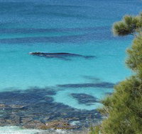 Jervis Bay Marine Park - ACT Tourism