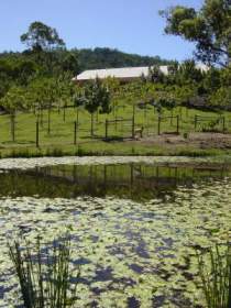 Mount Nathan Winery - ACT Tourism 2
