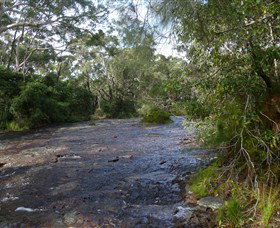 Booderee National Park: Green Patch And Telegraph Creek Walking Tracks - ACT Tourism 1