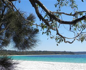 Booderee National Park: Green Patch And Telegraph Creek Walking Tracks - ACT Tourism 6
