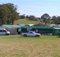Tinonee Orchid Nursery - ACT Tourism
