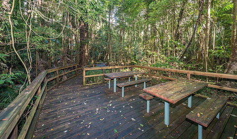Starrs Creek Picnic Area - ACT Tourism 1