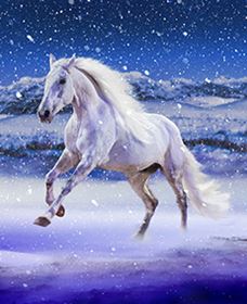 Australian Outback Spectacular: High Country Legends - ACT Tourism 1