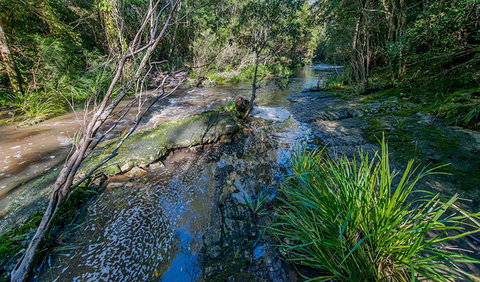 Dawson River Walking Track - ACT Tourism 0