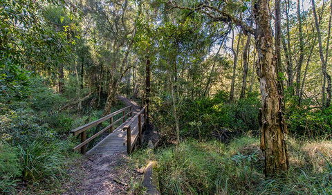 Dawson River Walking Track - ACT Tourism 1