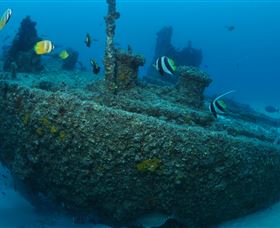 Curtain Artificial Reef Dive Site - ACT Tourism 1