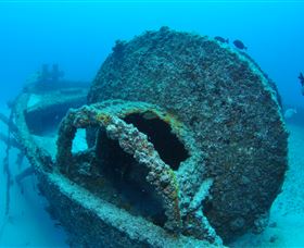 Curtain Artificial Reef Dive Site - ACT Tourism 3
