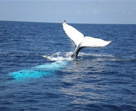 Booderee National Park: Cape St George Lighthouse - ACT Tourism 1
