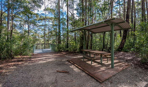 Big Nellie Lookout And Picnic Area - ACT Tourism 0
